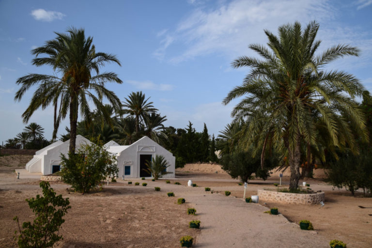 A la découverte de la « vraie » Djerba djerba-41-1-sur-1-768x512
